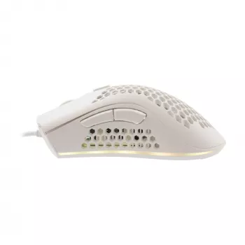 Baracuda BGM-032 Coral blanco
