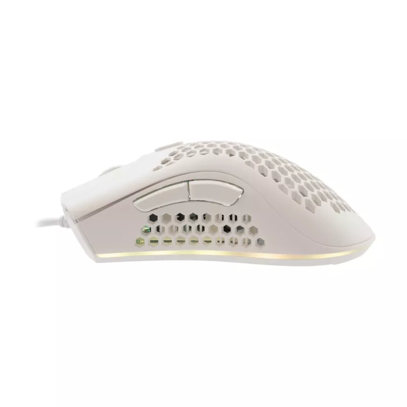Baracuda BGM-032 Coral blanco