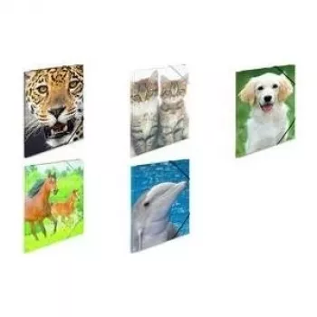 Archivador polipropileno (PP) HERMA 7139 A4 multicolor