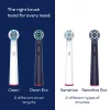 Beurer TB Clean Eco Green Planet cabezales de cepillo, azul oscuro, pack de 4