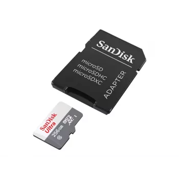 Memoria flash SanDisk 256 GB MicroSDXC UHS-I SDSQUNR-256G-GN6TA