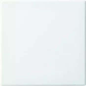 Marco embellecedor Busch-Jaeger Busch-balance SI blanco alpino para interruptor simple/conmutador y pulsador (modelo 2506-914)