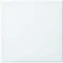 Marco embellecedor Busch-Jaeger Busch-balance SI blanco alpino para interruptor simple/conmutador y pulsador (modelo 2506-914)