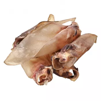 Premios para perros PETITTO oreja de ternera con cartílago — pack de 10, snacks masticables monocomponente