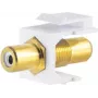 Módulo Keystone ShiverPeaks 08-10065 plano dorado blanco RCA