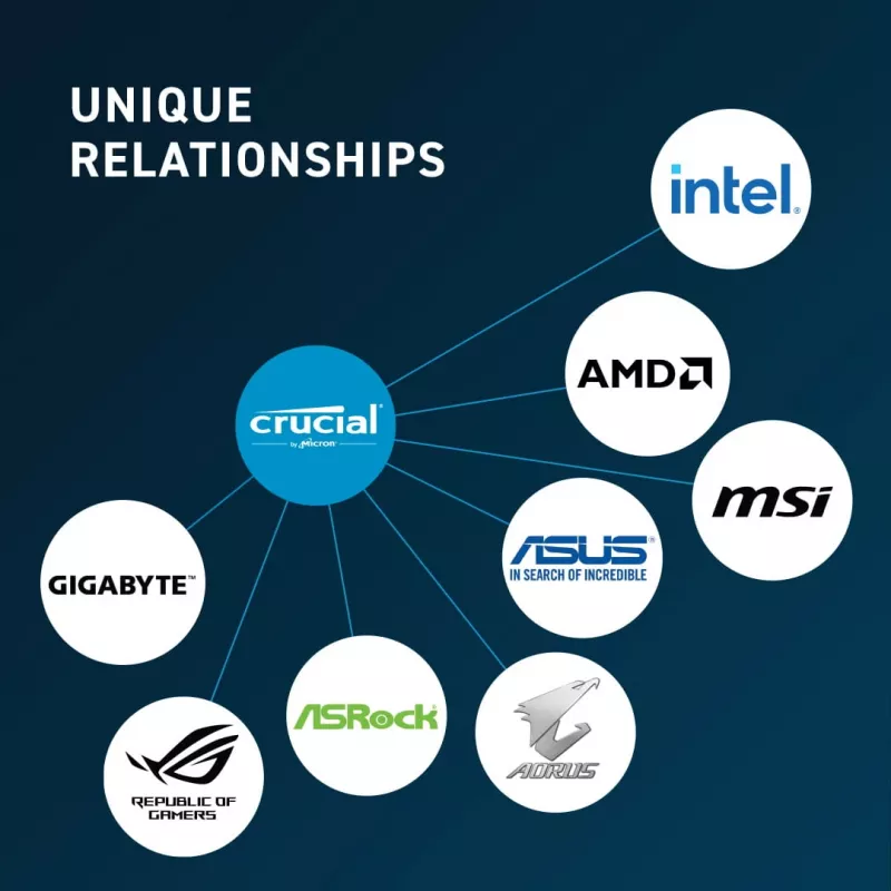 DIMM 32 GB DDR5-5600 (2x 16 GB) kit dual, memoria RAM negra, CT2K16G56C46U5