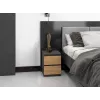 Mesita de noche Topeshop M2 ANTRACYT/ARTISAN 2 cajones antracita roble madera