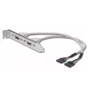 Cable con placa de ranura USB Digitus AK-300301-002-E