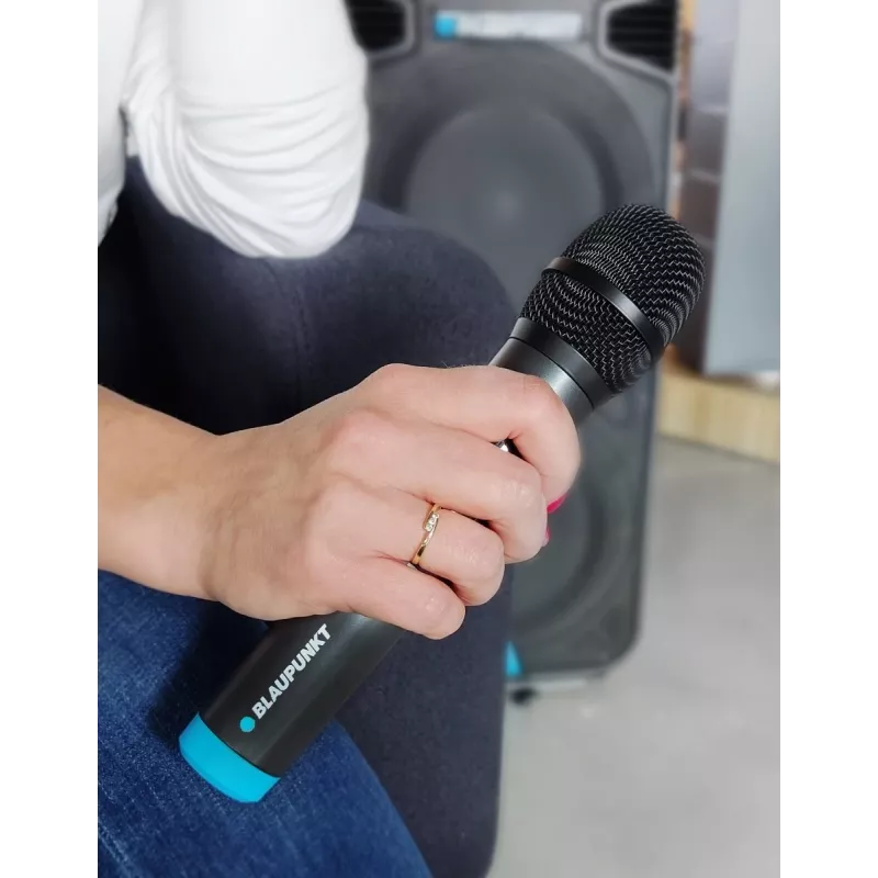 Micrófono Blaupunkt WM60UDB