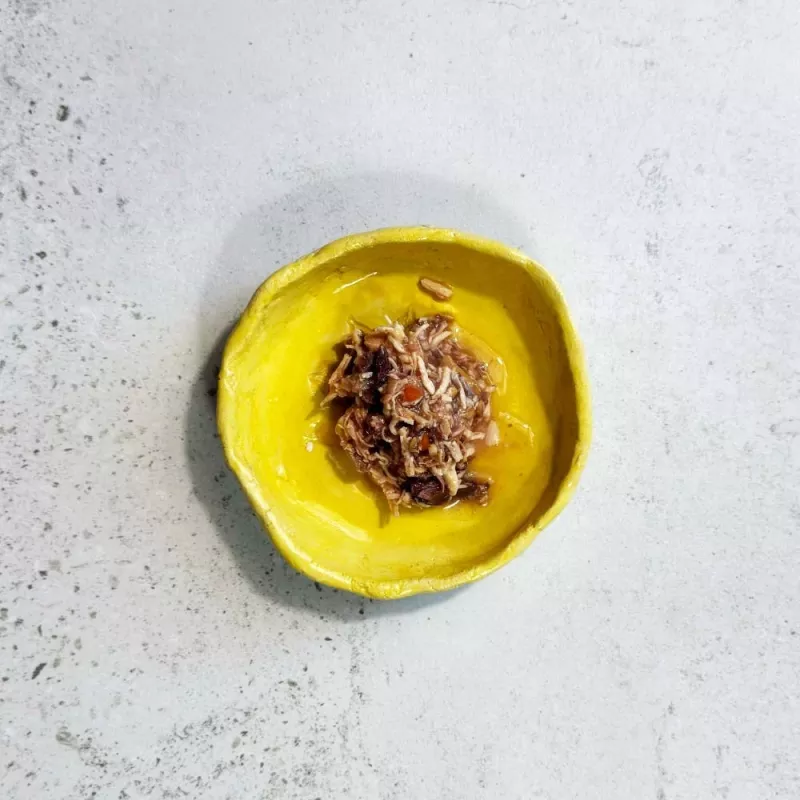 Ollo Atún y pollo con salmón en caldo Nº 2 70 g