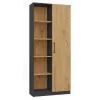 Módulo superior de estantería Topeshop RD-80 ANT/ART KPL, 10 estantes, tablero de partículas, 800×300×1820 mm