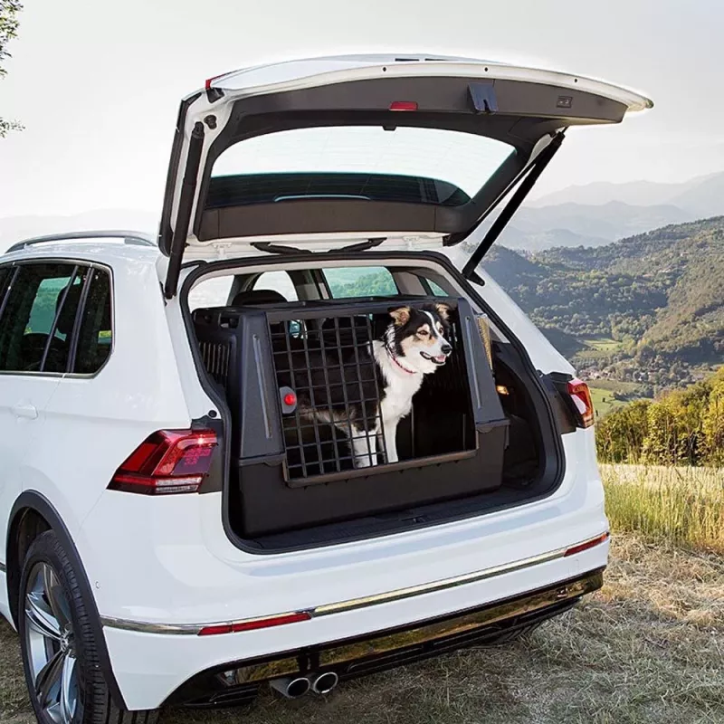 FERPLAST Atlas Car 100 Scenic, Transportín para coche