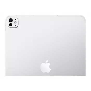 APPLE 33cm 13