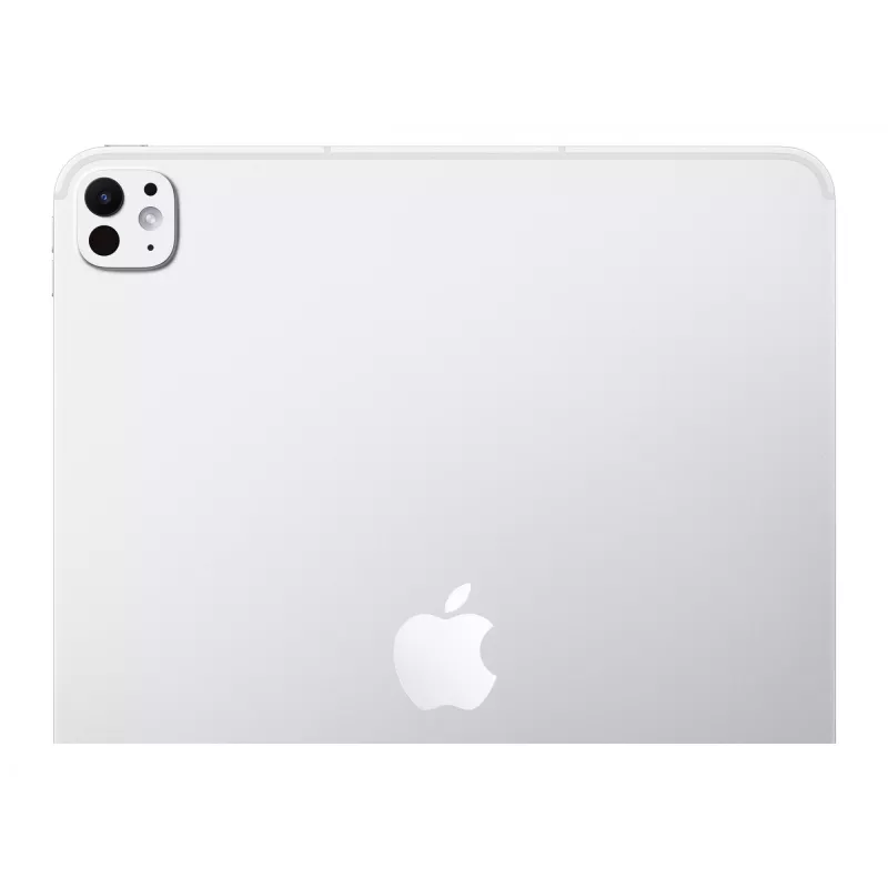 APPLE 33cm 13