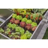 Tapón de tubo Gardena 13215-20 apto para sistema de riego por goteo