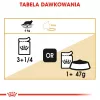 ROYAL CANIN FBN Maine Coon - Comida húmeda para gatos - Sachet 12x 85g