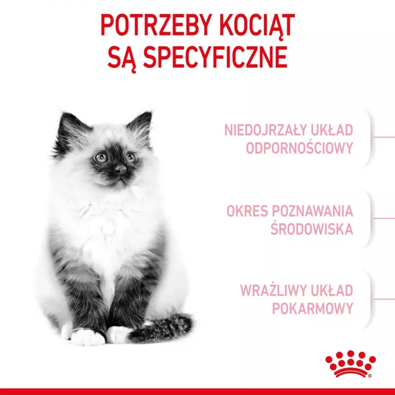 Royal Canin FHN Kitten pienso seco para gatitos, 4 kg