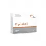 Cápsulas VETEXPERT CoproVet para perros y gatos — 30 cápsulas, ayuda a estabilizar la flora intestinal, sin gluten, sin conservantes