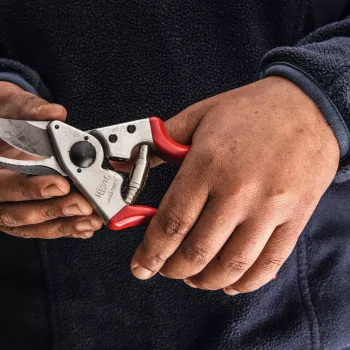 Felco | Tijera de podar para zurdos | FELCO 16