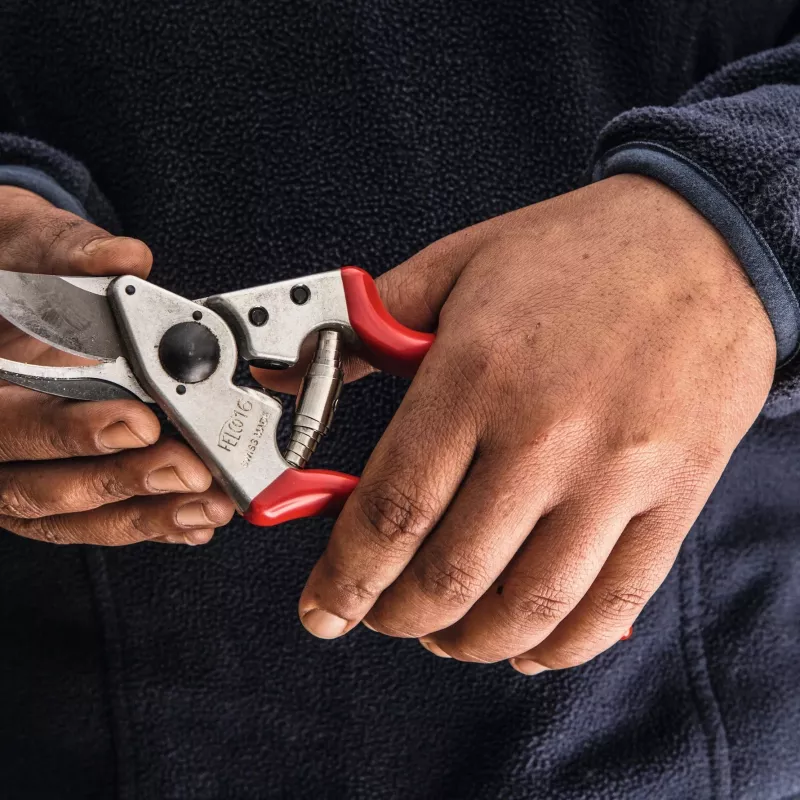 Felco | Tijera de podar para zurdos | FELCO 16