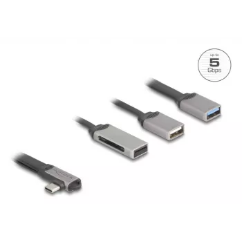 DeLOCK 64303 Hub USB 3.2 Gen 1 Type-C 5000 Mbit/s Gris