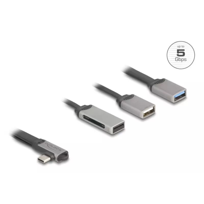 DeLOCK 64303 Hub USB 3.2 Gen 1 Type-C 5000 Mbit/s Gris