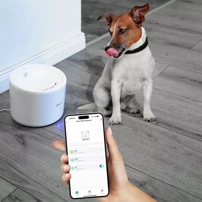 Bebedero para mascotas Tellur TLL331471 2L blanco – bebedero automático de 2 litros para gatos y perros pequeños