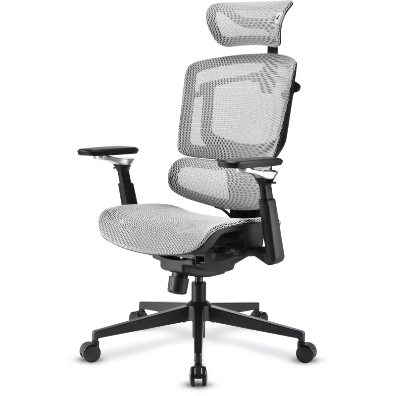 Silla de oficina Sharkoon OfficePal C50M — asiento acolchado, respaldo de malla, negra, respaldo 49 × 63 cm, anchura de asiento 50 cm