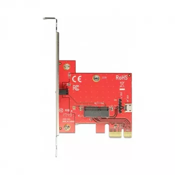 Adaptador M.2 interno DeLOCK 89889