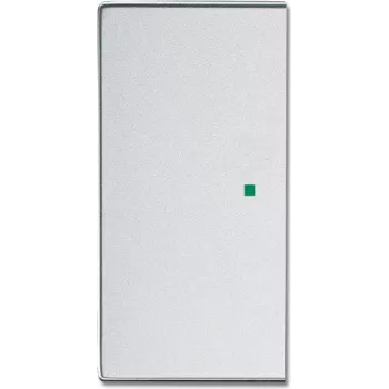 Placa de cubierta Busch-Jaeger 2CKA006220A0048 para soporte y portalámparas de sensor Plata (2CKA006220A0048)