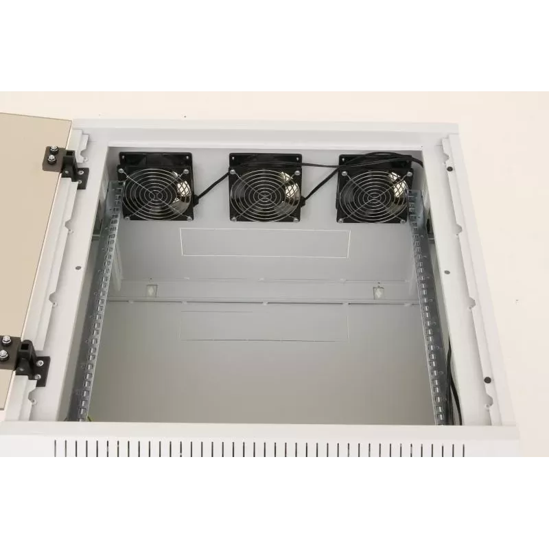 Rack de pared Triton RUA-12-AS6-CAX-A1 12U blanco