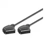 Wentronic Goobay cable de conexión SCART, negro, 2 m – conector macho SCART (21 polos) > conector macho SCART (21 polos) (11703)