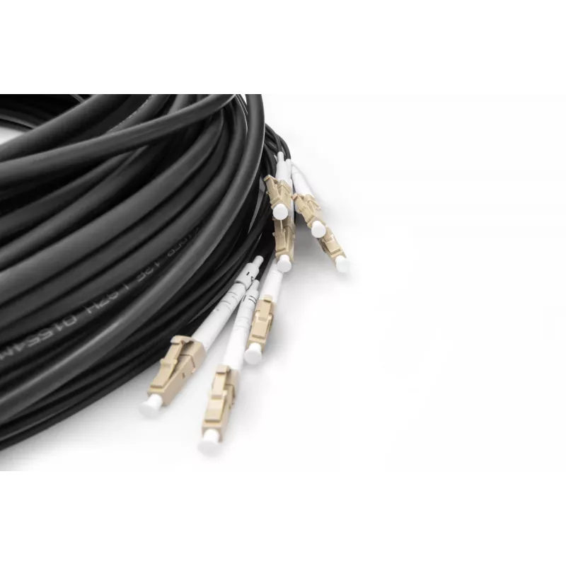 Cable breakout universal de fibra óptica Digitus preensamblado multimodo OM4 8 fibras LC/UPC 50 m