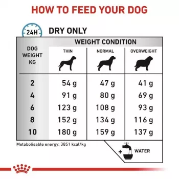 Comida seca para perros Royal Canin Anallergenic Small – fórmula hipoalergénica para perros adultos pequeños, 3 kg, sabor carne, sin gluten ni azúcar
