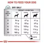 Comida seca para perros Royal Canin Anallergenic Small – fórmula hipoalergénica para perros adultos pequeños, 3 kg, sabor carne, sin gluten ni azúcar