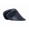 Ratón Gembird MUSW-ERGO-03 hogar diestro RF inalámbrico óptico 1600 DPI