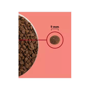 ACANA Highest Protein Interior Cat - Pienso para gatos - 4,5 kg