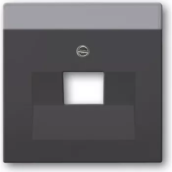 Busch Jaeger 1710-0-3616 Placa de pared/tapa de interruptor antracita (1710-0-3616)