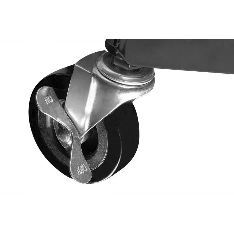Carretilla plegable 75 kg con organizador