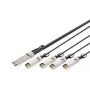 Cable de conexión directa Digitus DN-81325 40G QSFP+ a 4x SFP+ 5 m