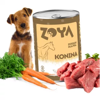ZOYA caballo - comida húmeda para perros - 400 g