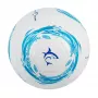Balón de fútbol White Shark TB-001 Dribbler 32 paneles talla 5