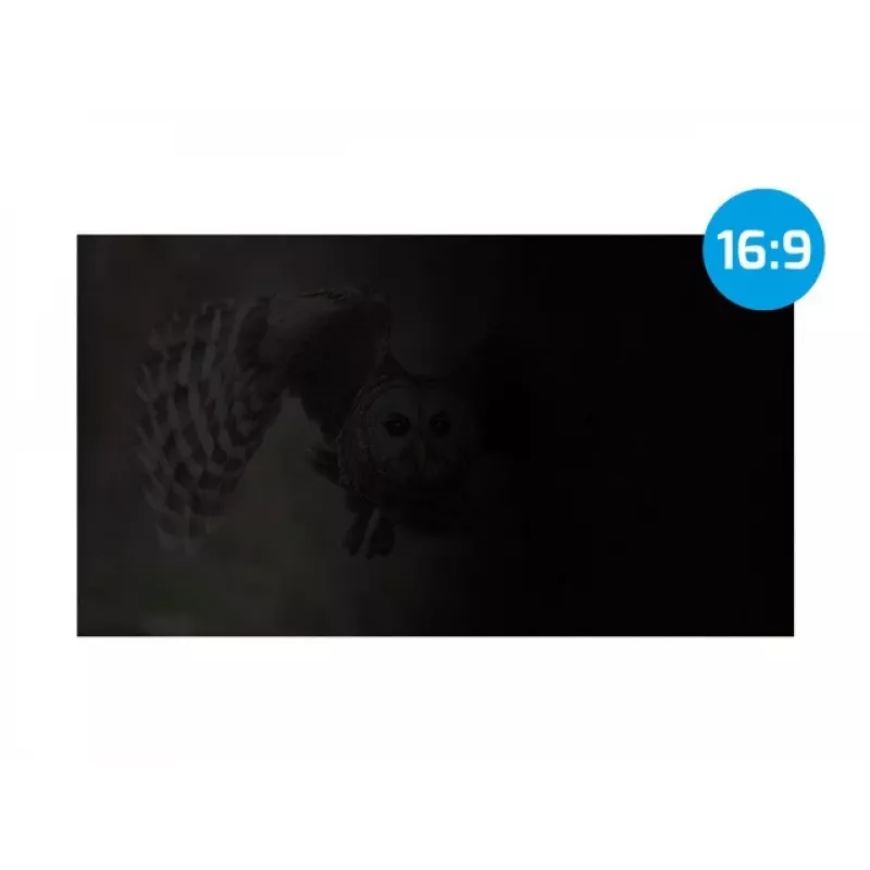 NATEC NFP-2287 Filtro de privacidad para pantalla 40,6 cm (16 inch) monitor/portátil, filtro de privacidad sin marco 2H