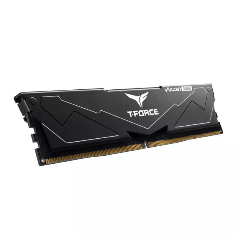 DIMM 32 GB DDR5-6000 (2x 16 GB) Dual-Kit, memoria RAM negra, FLBD532G6000HC38ADC01, Vulcan, AMD EXPO