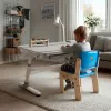 Ergo Office Escritorio infantil ergonómico de altura ajustable, gris, máx. 100 kg, ER-417 2cz