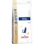 Royal Canin VHN Cat Renal pienso para gatos, 2 kg