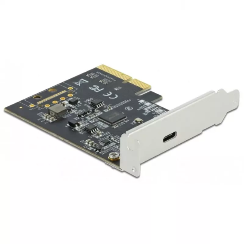 DeLOCK - Adaptador USB - PCIe 3.0 x4 Low-Profile - USB 3.2 Gen 2x2 x 1 (89036)
