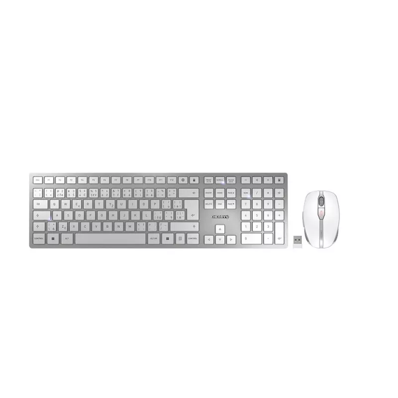CHERRY DW 9100 Teclado y ratón incluidos universal RF Wireless + Bluetooth checo, eslovaco plateado