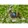 Gardena 13315-20 herramienta de jardín 15 L negro