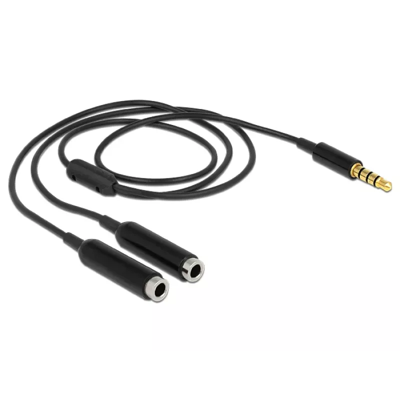 Cable de audio DeLOCK 65575 0,25 m 3,5 mm 2 x 3,5 mm negro